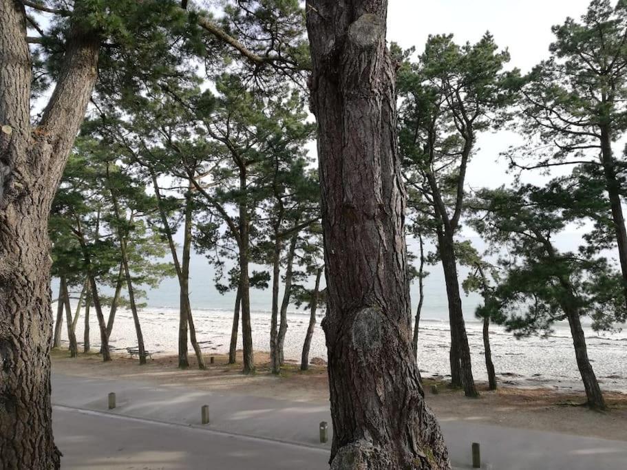 Face A La Mer Fouesnant Eksteriør billede